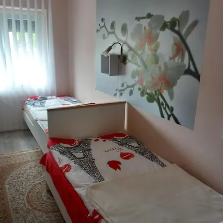 Ria Vendeghaz Apartment *